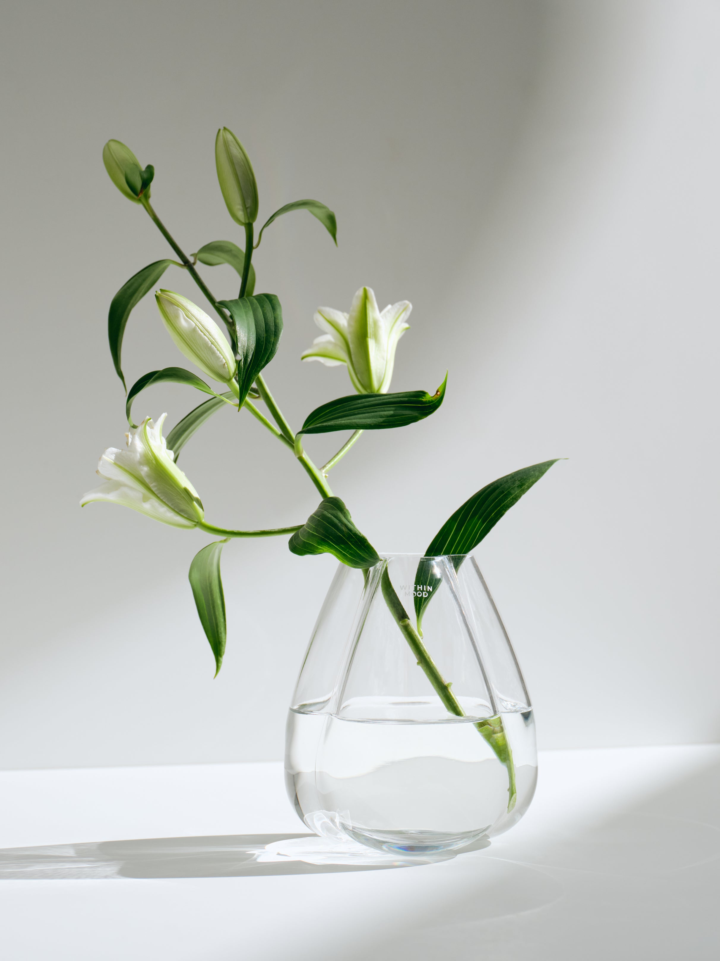 Der große Vasen-Guide: Welche Blumenvase passt zu Tulpen, Ranunkeln und Co.?
