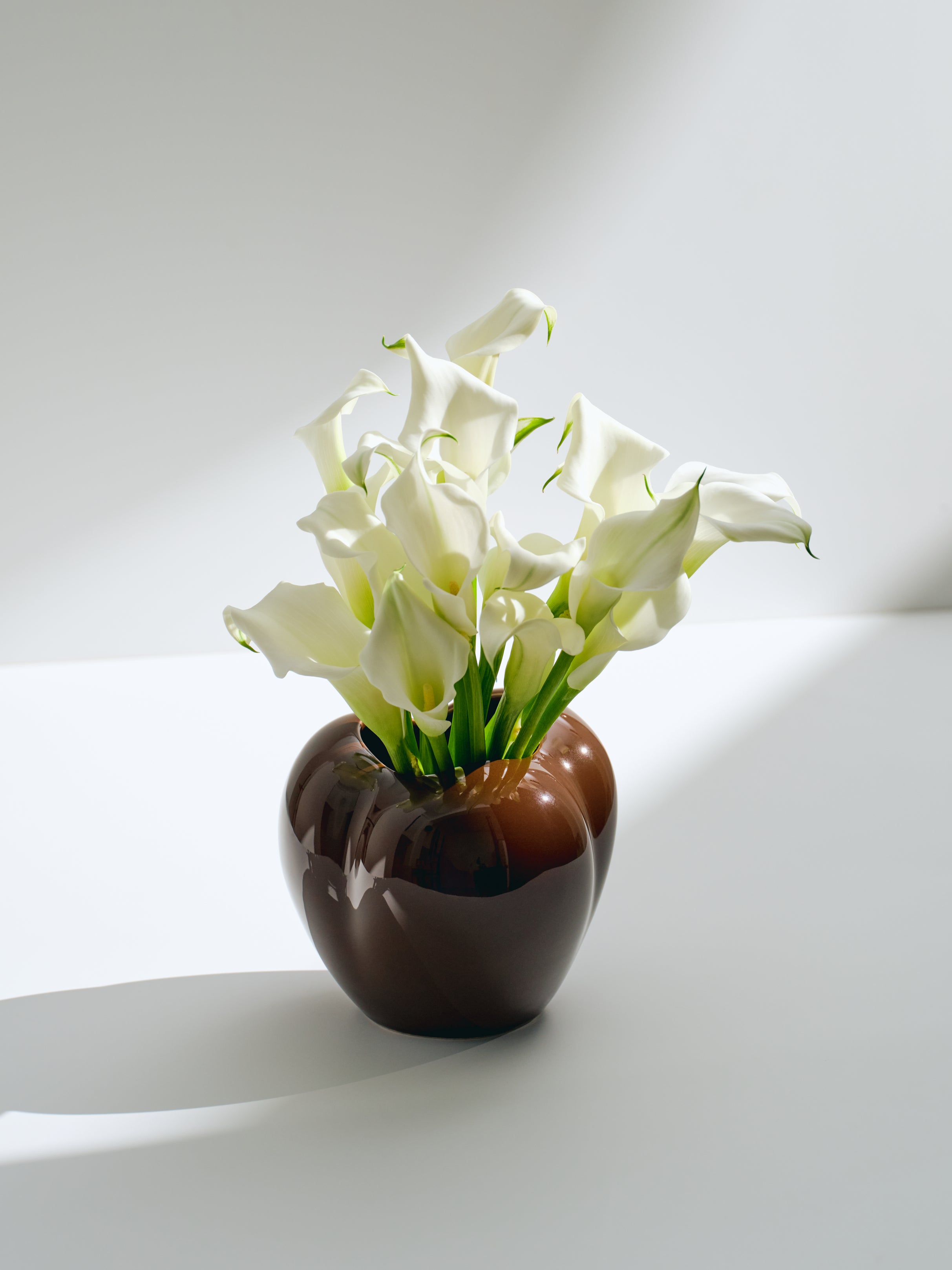 Mini Poppy Vase, chocolate brown