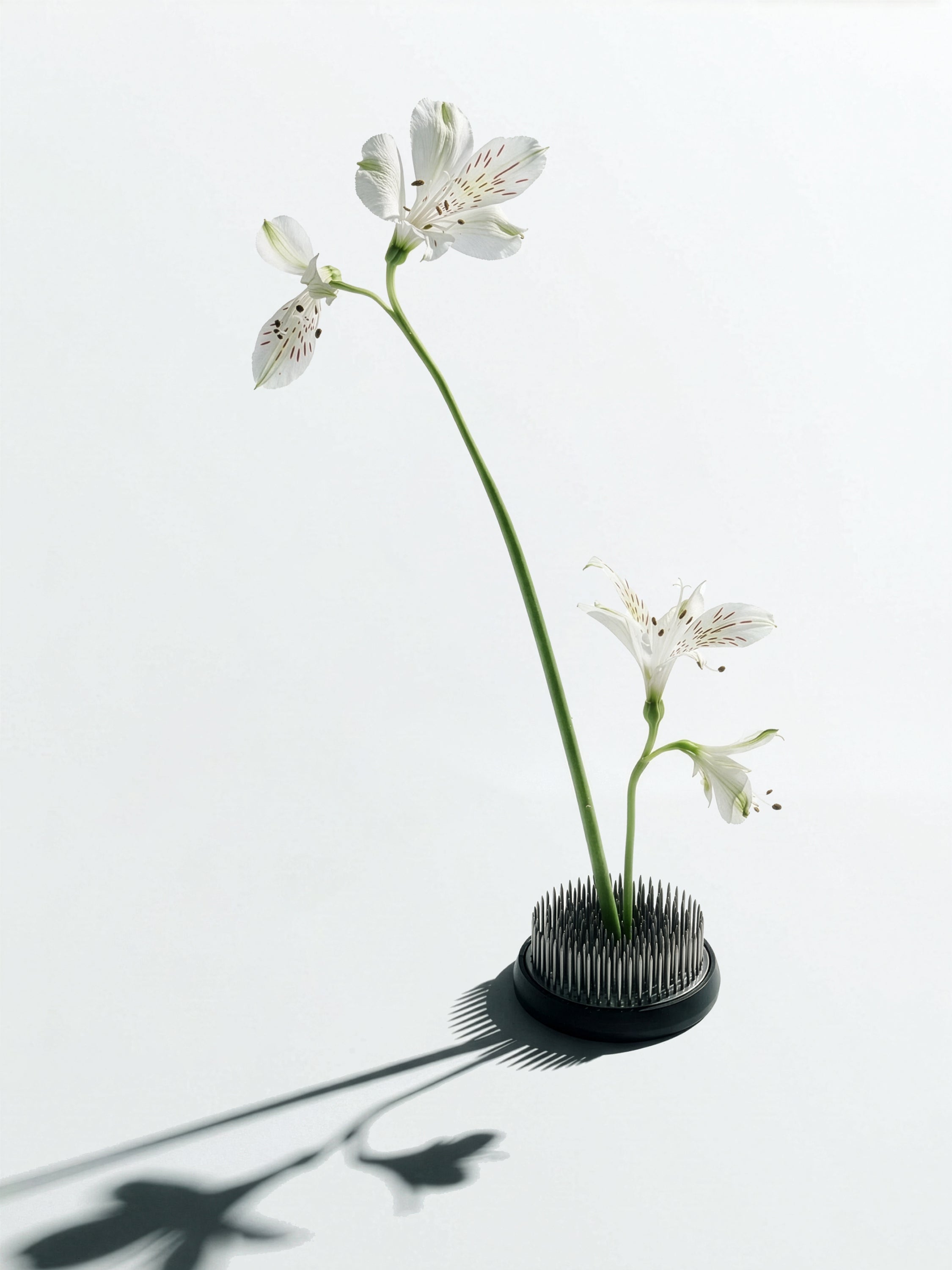Kenzan Flower Holder