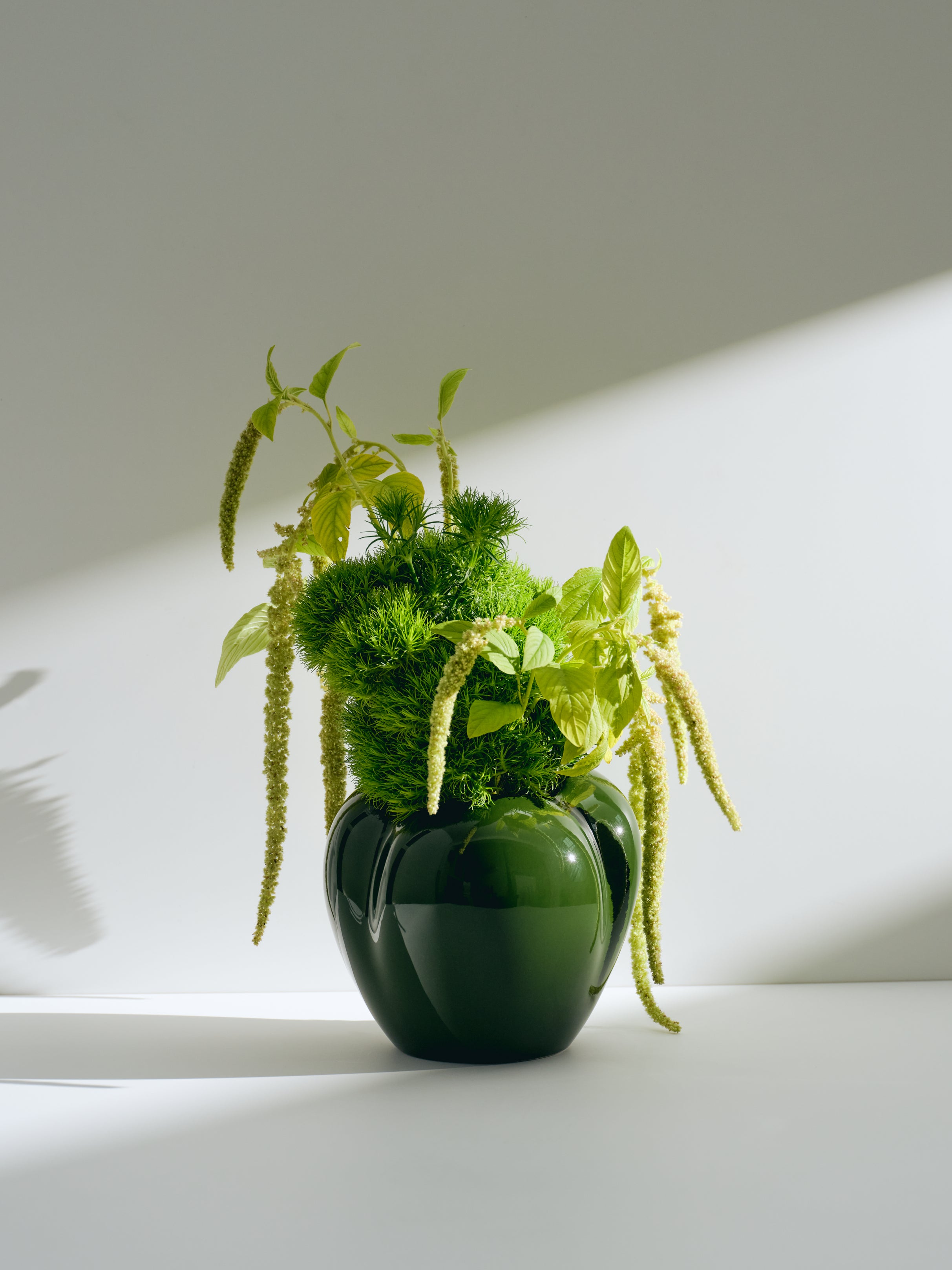 Mini Poppy Vase, racing green